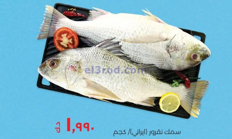 el3rod.com00001-504