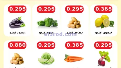 el3rod.com00001-525