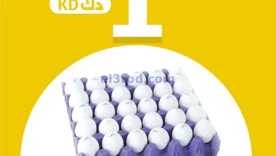 عروض سيتى سنتر هايبر كويت|1 دينار|من 13-4-2024 el3rod.com00001-664