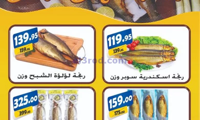 el3rod.com00001-78