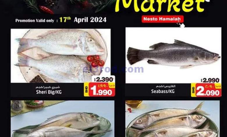 el3rod.com00001-896