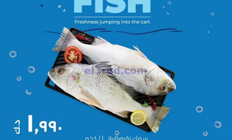 el3rod.com00002-725