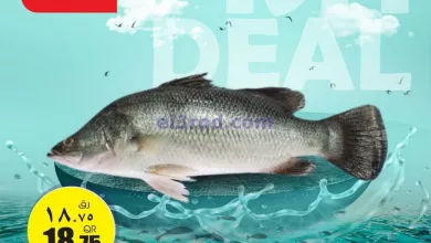 el3rod.com00005-45