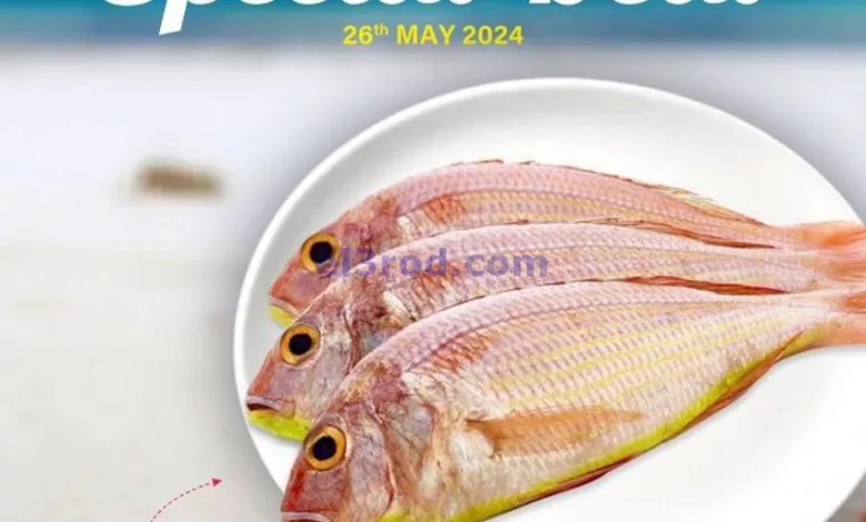 el3rod.com00001-1281
