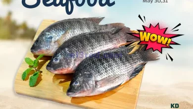 el3rod.com00001-1566