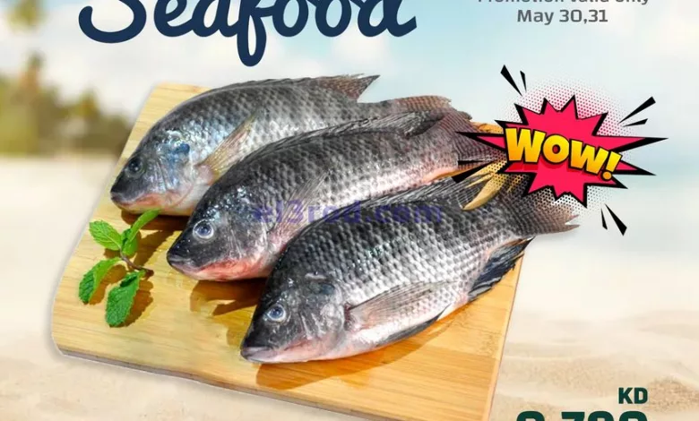 el3rod.com00001-1566
