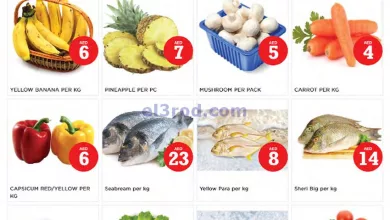 عروض مجلة نستو ام القيوين|5-5-2024|الاحد el3rod.com00001-184