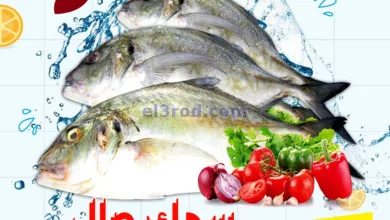 el3rod.com00001-195
