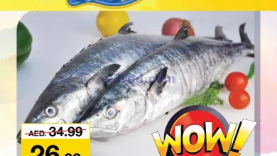 el3rod.com00001-387