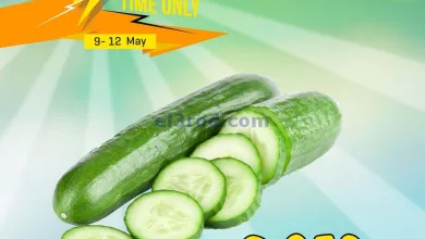 el3rod.com00001-521