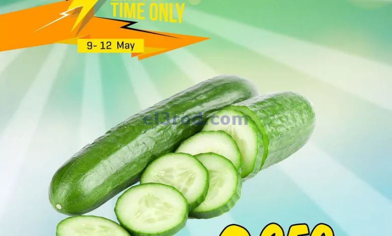 el3rod.com00001-521