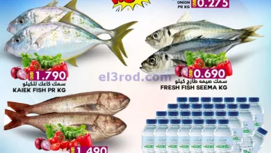 el3rod.com00001-653