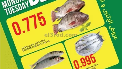 el3rod.com00001-954