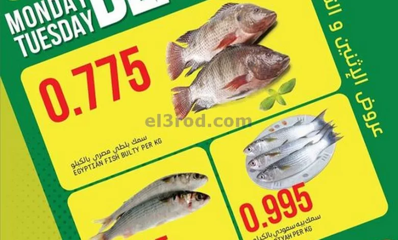 el3rod.com00001-954