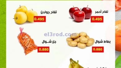 el3rod.com00002-258