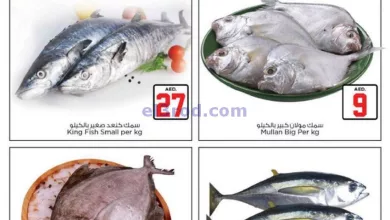 el3rod.com00004-135