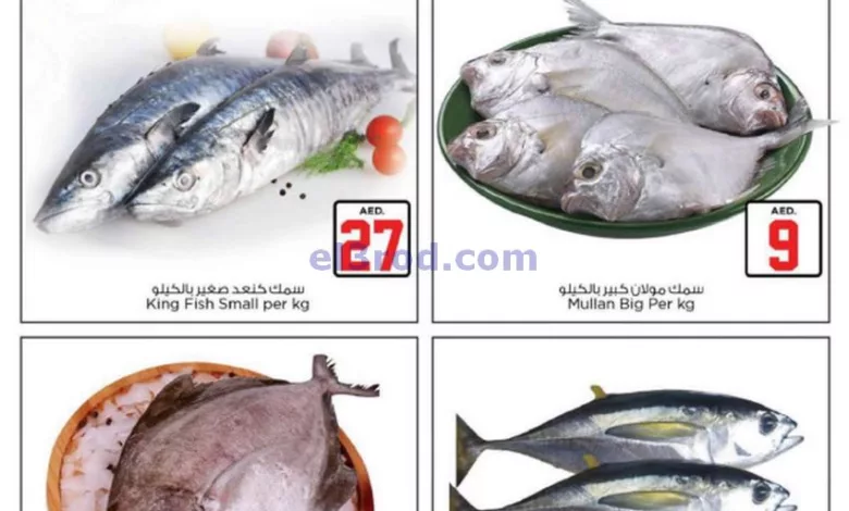 el3rod.com00004-135