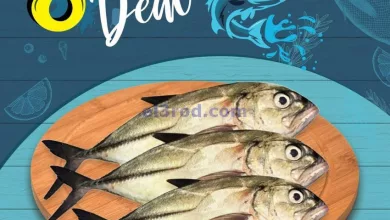 el3rod.com00005-792