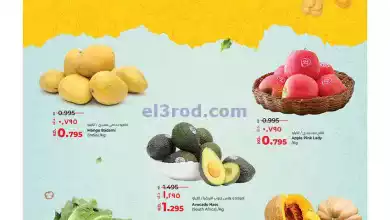el3rod.com00001-102