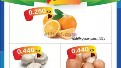el3rod.com00001-1044