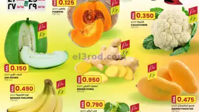 el3rod.com00001-1128
