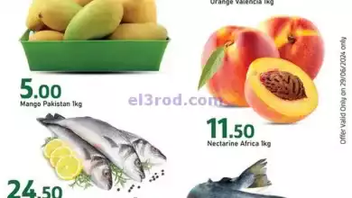 el3rod.com00001-1160