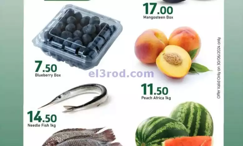 el3rod.com00001-1194