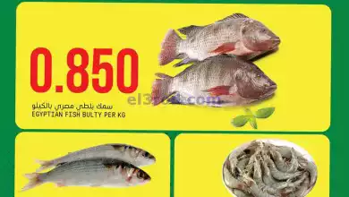 el3rod.com00001-1212