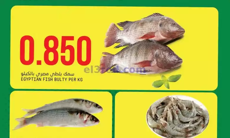 el3rod.com00001-1212