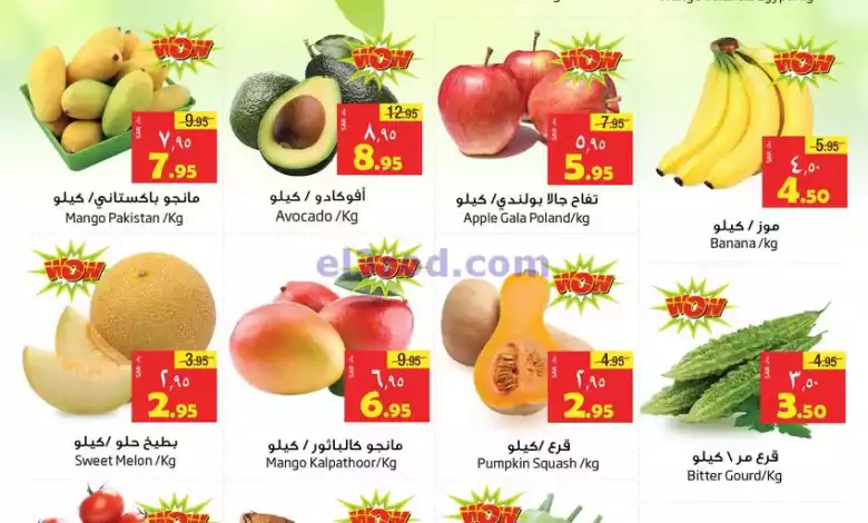 el3rod.com00001-136