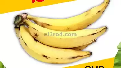 el3rod.com00001-157