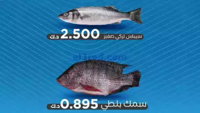 el3rod.com00001-162