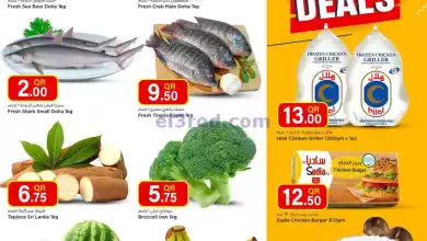 el3rod.com00001-405