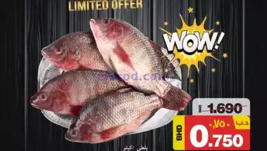 el3rod.com00001-408