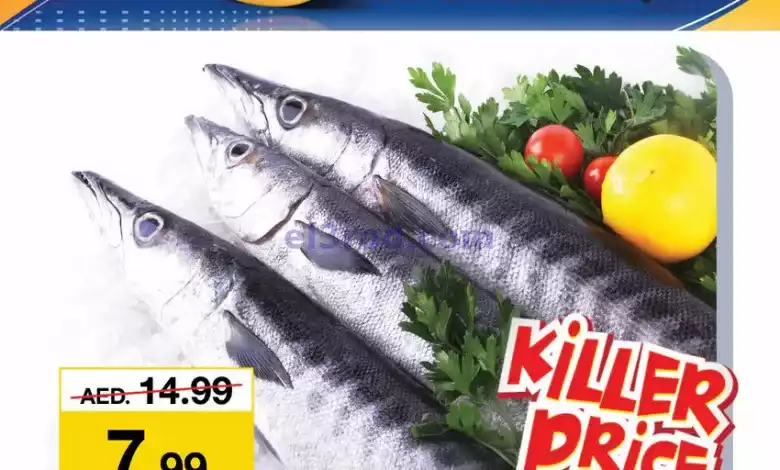 el3rod.com00001-514