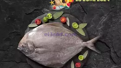 el3rod.com00001-635