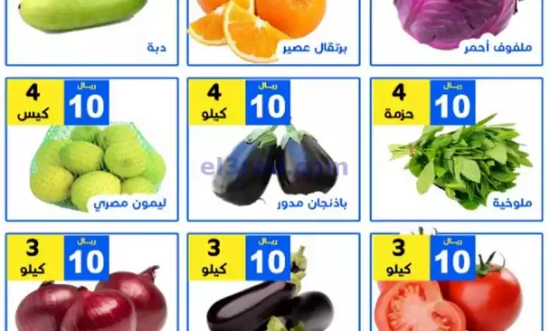 عروض مؤسسة حصاد البساتين السعودية|21-6-2024|ريال el3rod.com00001-767