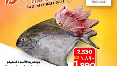 el3rod.com00001-818