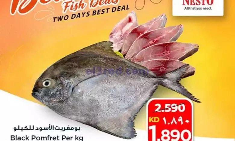 عروض نستو الكويت|22 حتى 23-6-2024|لذيذة el3rod.com00001-818