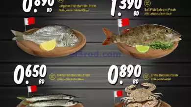el3rod.com00002-1047