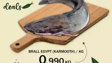 el3rod.com00002-749