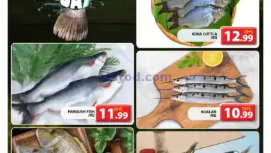 el3rod.com00002-894