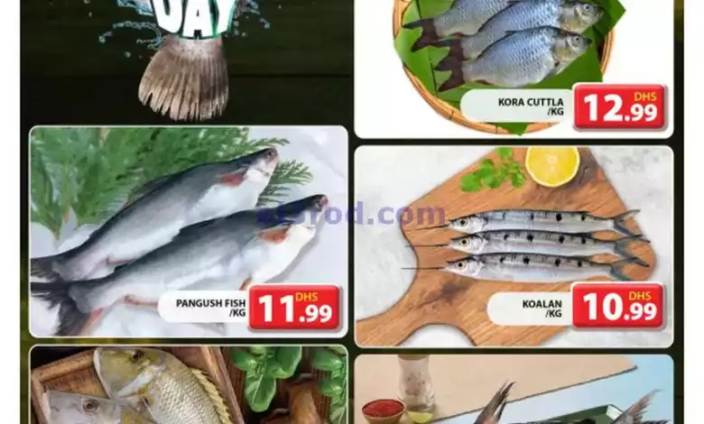 el3rod.com00002-894