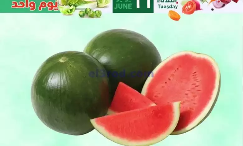 el3rod.com00003-319