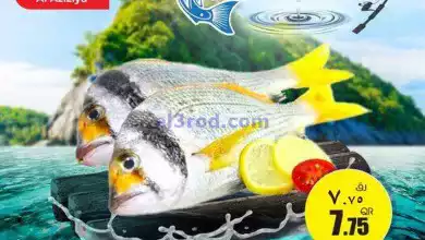 el3rod.com00005-468
