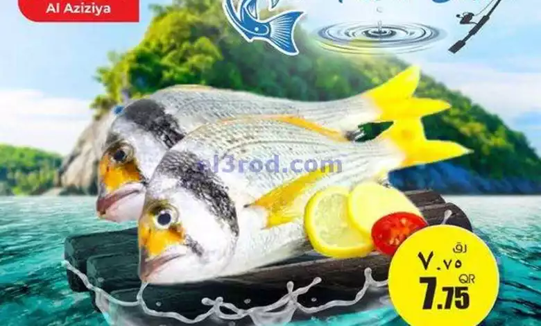 el3rod.com00005-468