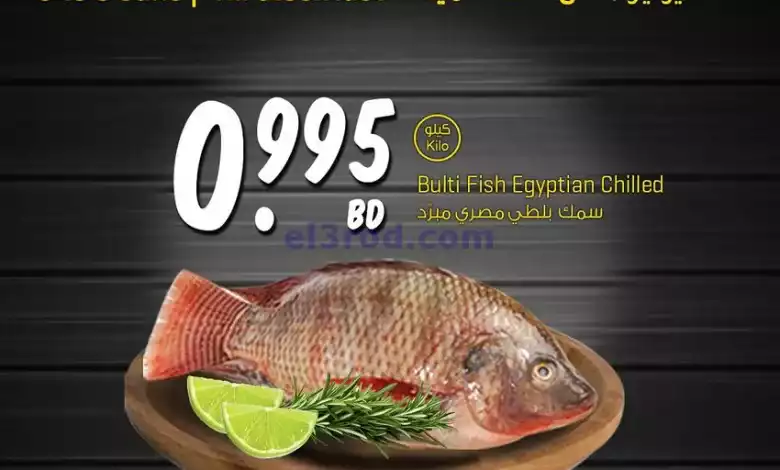 el3rod.com00011-75