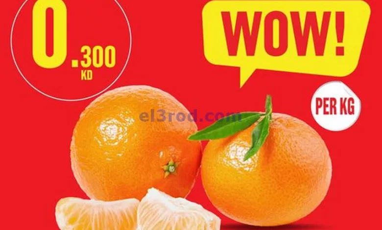 el3rod.com00001-1008