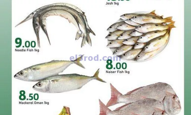 el3rod.com00001-1037