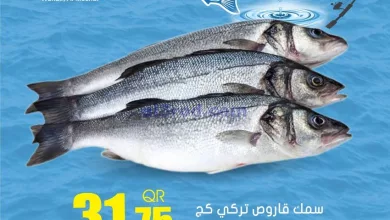 el3rod.com00001